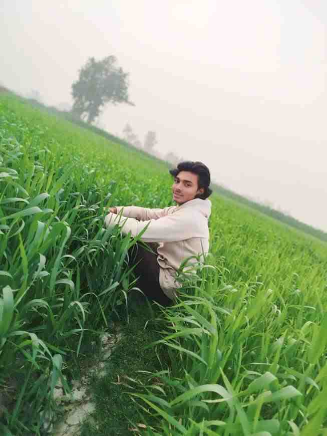 BD real player sharing